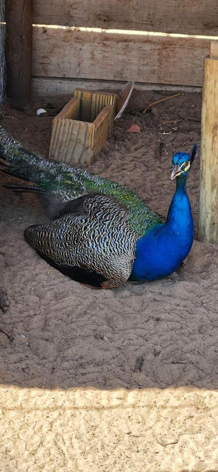 Pousada Brilhante Itirapina Esterno foto